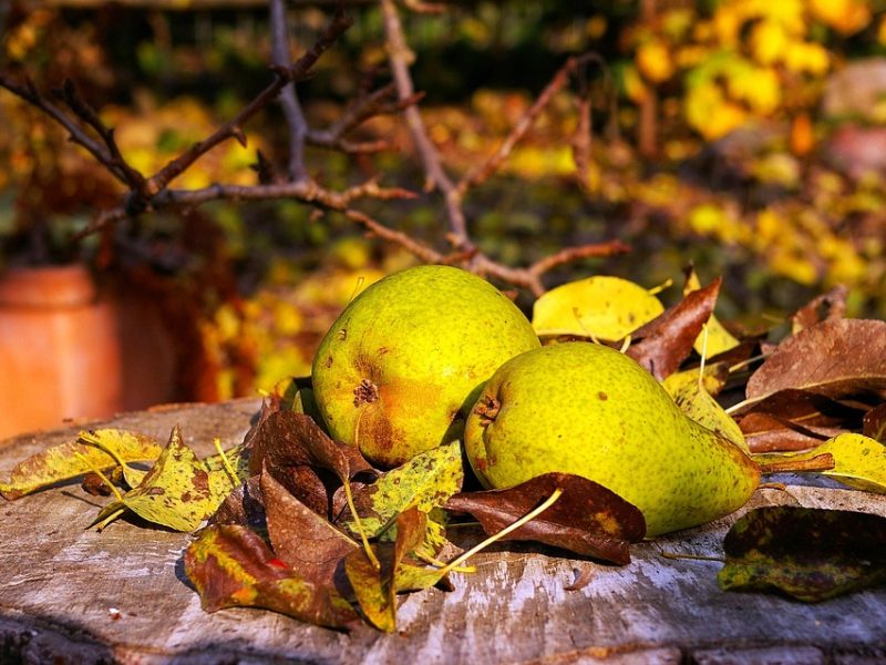 Folião deve ter atenção redobrada no carnaval