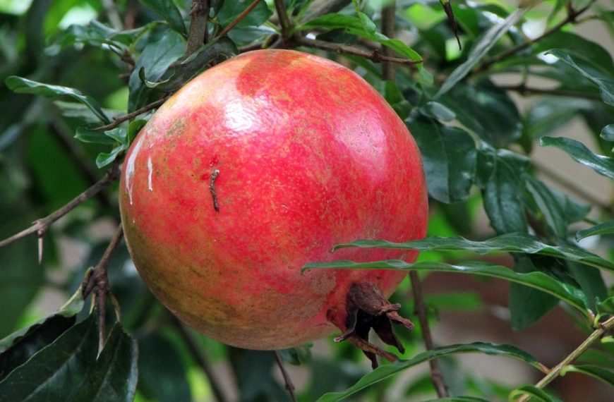Maranhão: buscas por crianças em Bacabal completam 30 dias sem avanços