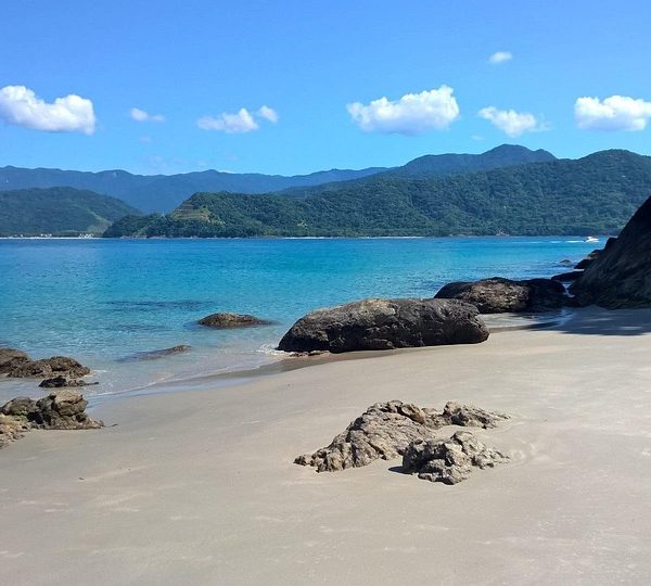 Azul fecha acordo de US$ 200 milhões com American e United Airlines