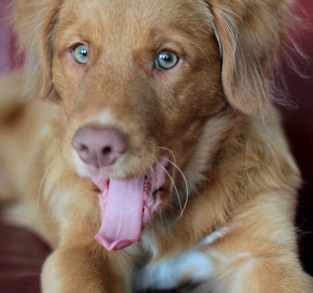 CNJ recebe nova denúncia de importunação sexual contra ministro do STJ