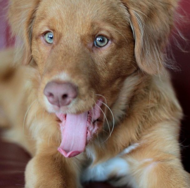 CNJ recebe nova denúncia de importunação sexual contra ministro do STJ