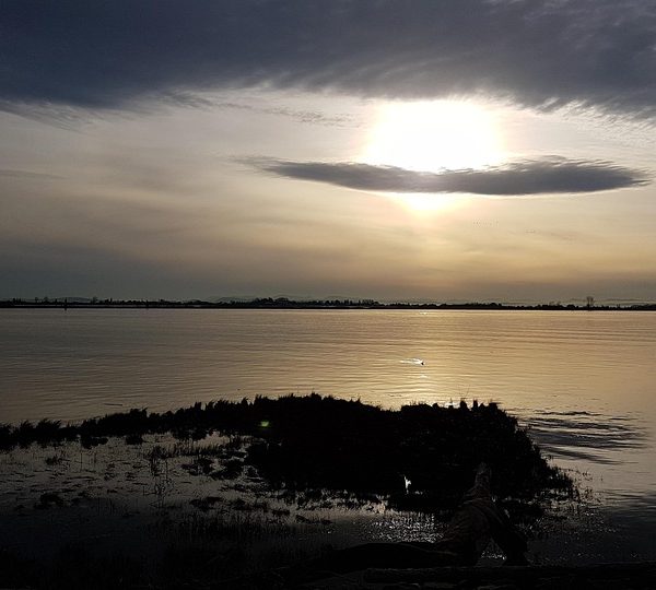 Depois de 16 anos, Bloco Frenesi volta às ruas no Carnaval de Salvador