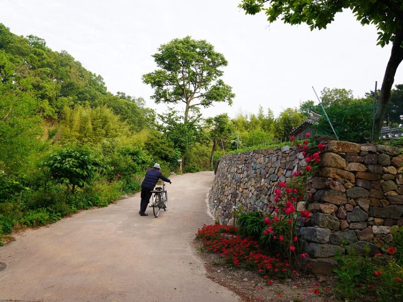 Moraes arquiva investigação contra Zambelli por obstrução e coação