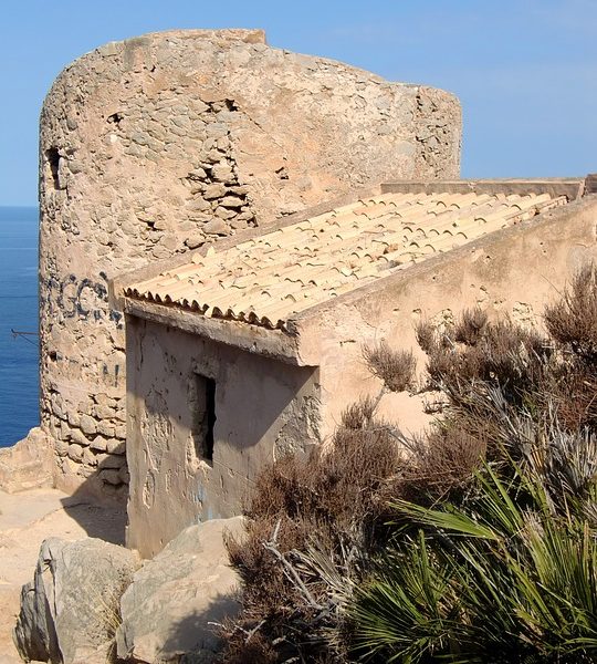 Lula defende educação para o combate à violência contra mulher