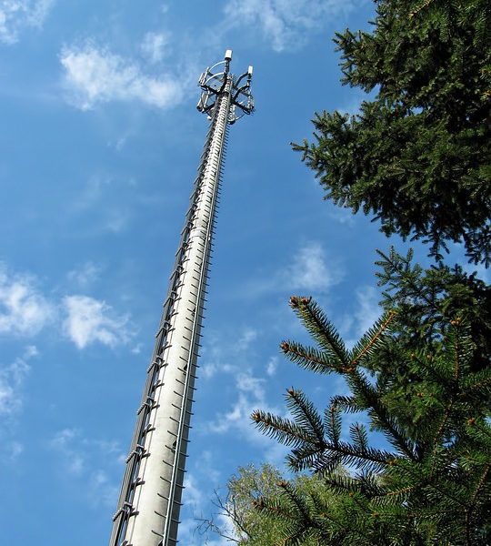TV Brasil transmite desfile do Grupo de Acesso 2 de São Paulo