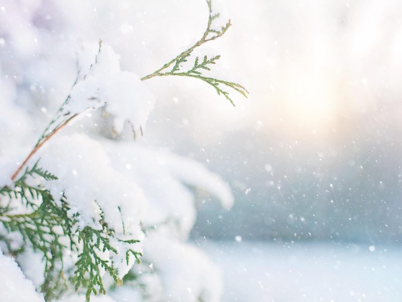 Minha Casa, Minha Vida Entidades Urbanas recebe propostas até terça