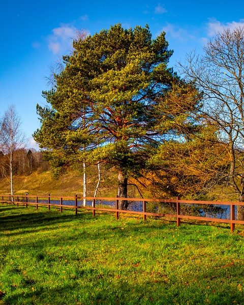 Cobertura vacinal contra HPV atinge 95,81% na capital paulista