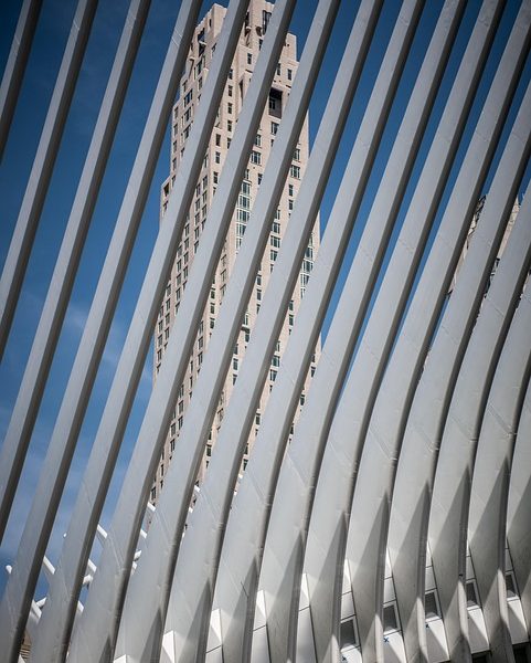 Reforços marcam e Bragantino vence Ferroviária no Brasileiro Feminino