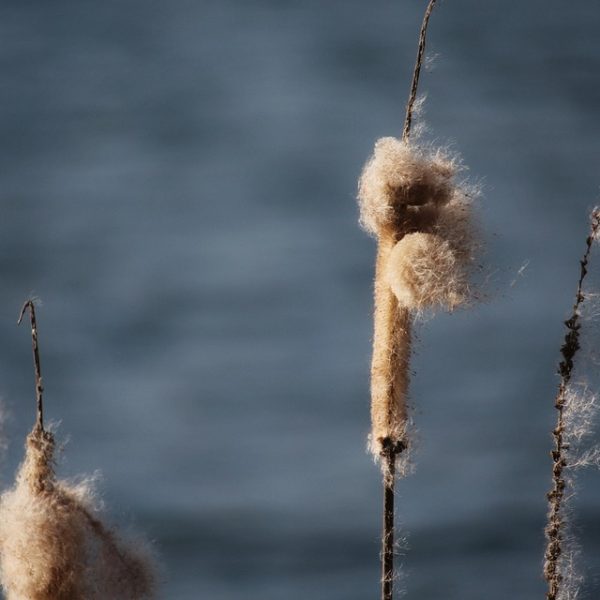 Dívida Pública fica praticamente estável, mas supera R$ 8,6 trilhões