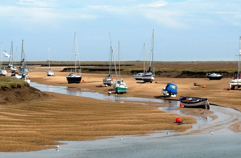 Saiba os próximos passos do pedido de perda de patente de Bolsonaro