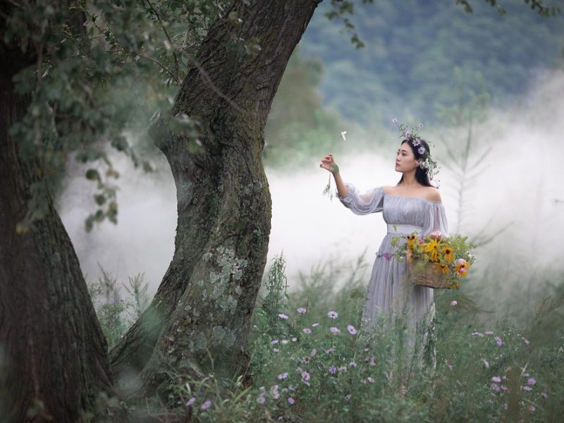 Mulher é presa após arremessar gata do 12º andar de prédio em Curitiba