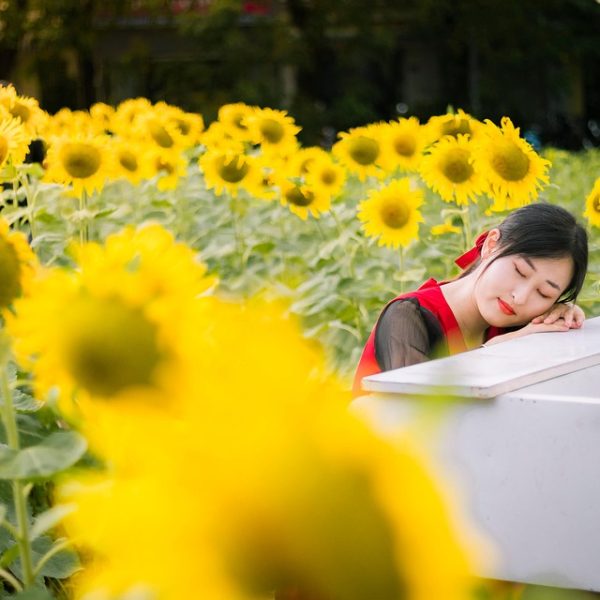 Mulheres bate-bolas, Brilhetes de Anchieta conquistam espaço na rua