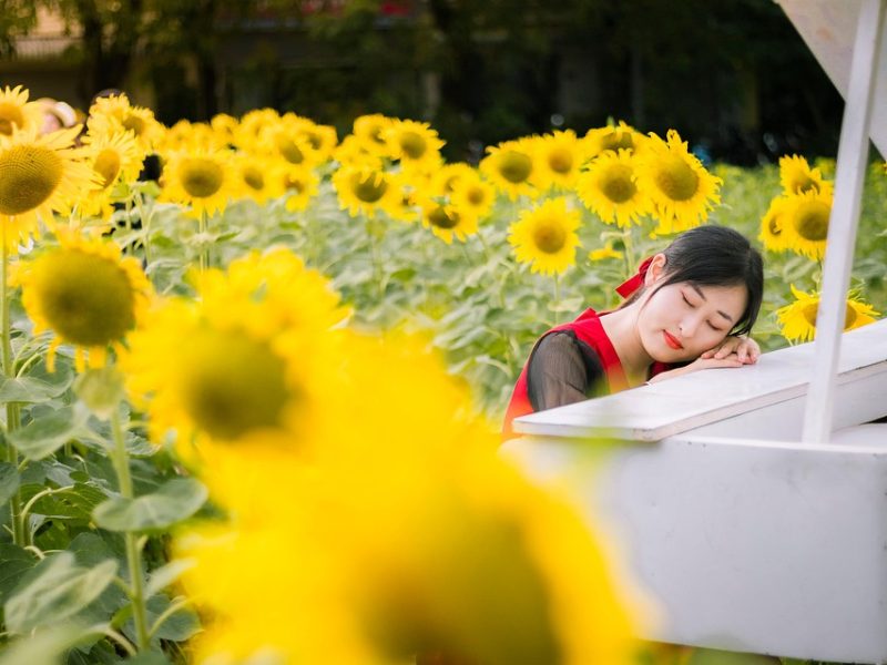Mulheres bate-bolas, Brilhetes de Anchieta conquistam espaço na rua