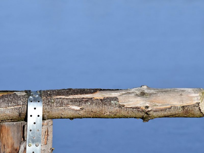 Pesquisa quer melhorar experiência de turistas neurodivergentes