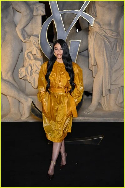 celebridades no desfile de moda de Saint Laurent