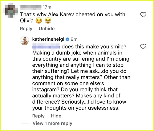 Comentários de Katherine Heigl