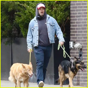 Sebastian Stan leva seus cachorros para passear em Nova York em meio a relatos de que está esperando o primeiro filho com Annabelle Wallis