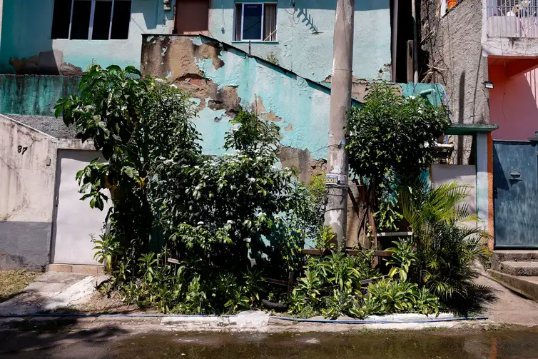 Rio de Janeiro (RJ), 26/03/2026 - Hortas agroecológicas e ancestrais no Morro do Salgueiro, zona norte da cidade. Foto: Tânia Rêgo/Agência Brasil