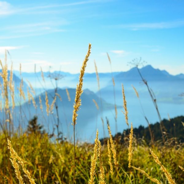 Justiça dos EUA mantém acusações de narcotráfico contra Nicolás Maduro