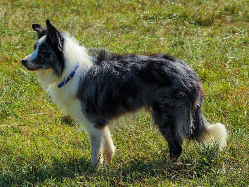 Itamaraty alerta brasileiros sobre viagens ao Oriente Médio