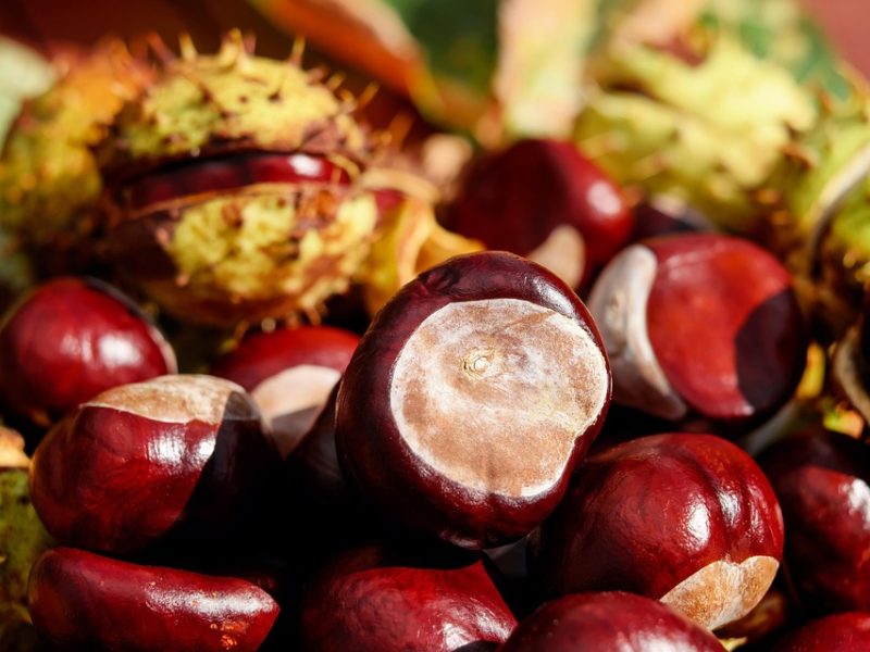 Butantan produzirá remédio contra câncer para o SUS