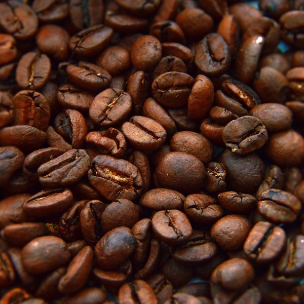 O que se sabe sobre o furto de material biológico da Unicamp