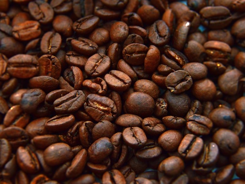 O que se sabe sobre o furto de material biológico da Unicamp