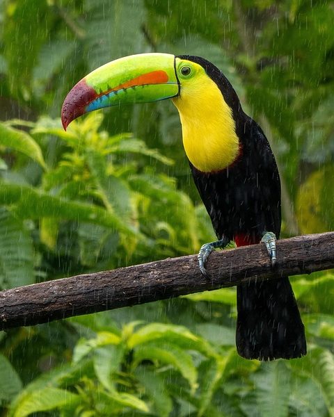 Costa Rica expulsa diplomatas cubanos e fecha embaixada em Havana