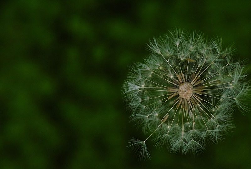 Lula se despede de ministros e confirma Alckmin como vice em chapa