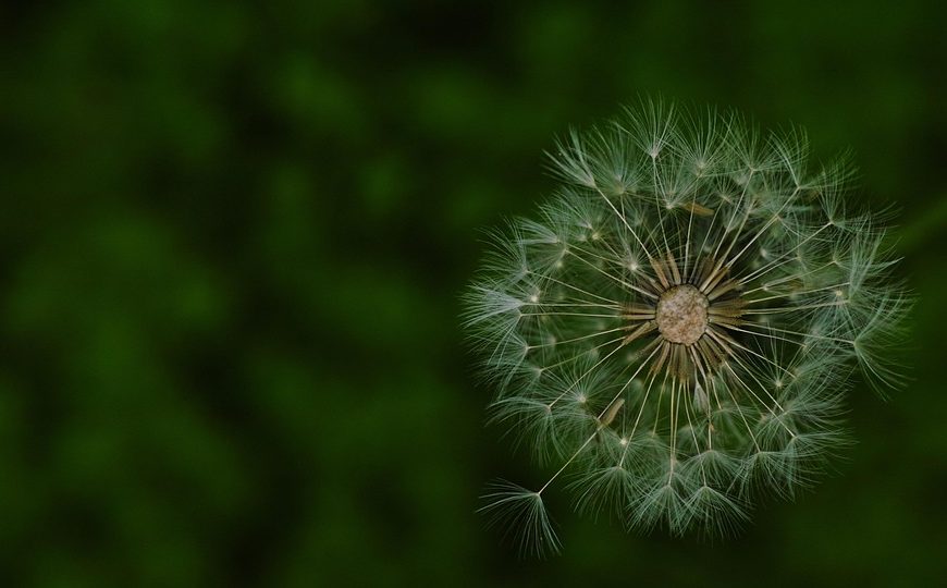 Lula se despede de ministros e confirma Alckmin como vice em chapa