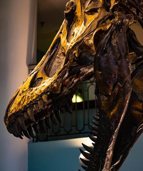 Dino acaba com a aposentadoria compulsória como punição a juízes