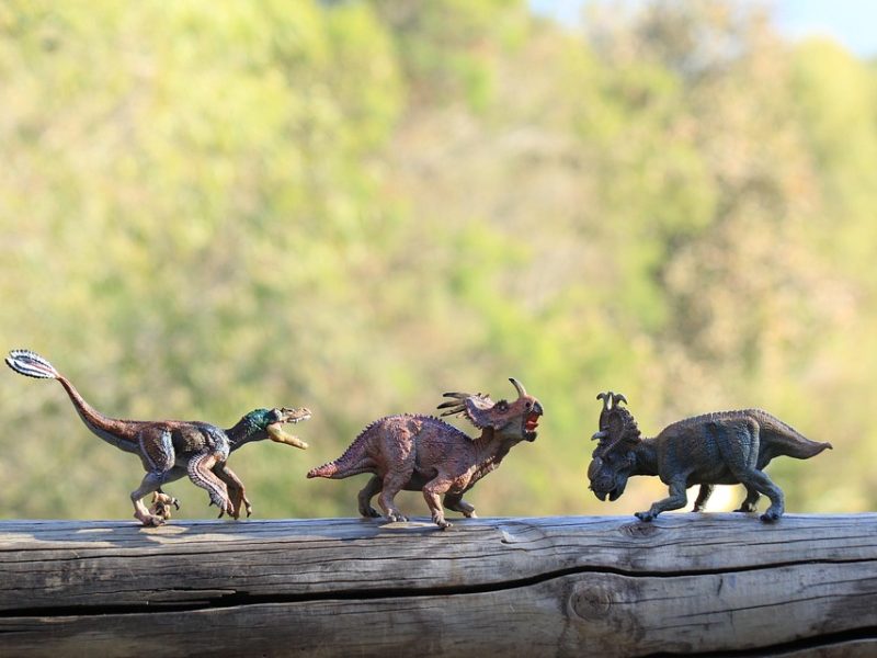 Dino amplia investigação sobre emendas para fundação da Lagoinha