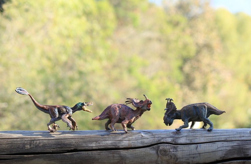 Dino amplia investigação sobre emendas para fundação da Lagoinha