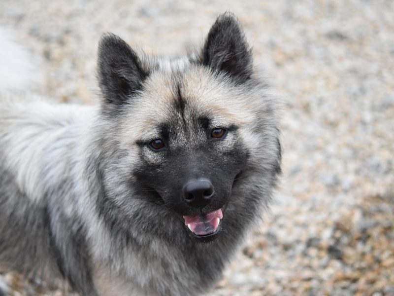 EBC e IFSul inauguram nova TV pública em Venâncio Aires (RS)