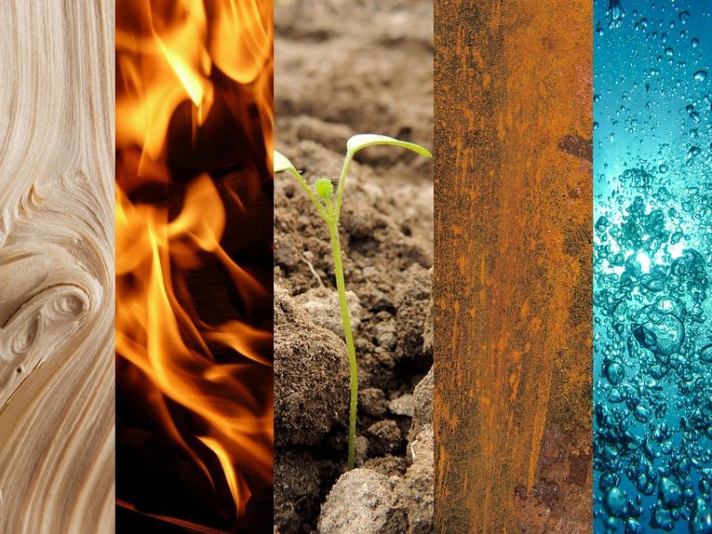 Após cinco dias de internação, Sônia Guajajara recebe alta médica