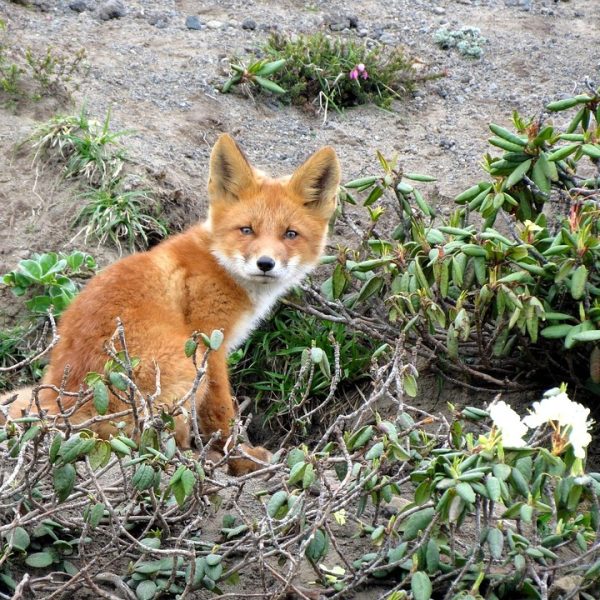 Uma aposta leva sozinha prêmio de R$ 37 milhões da Mega-Sena