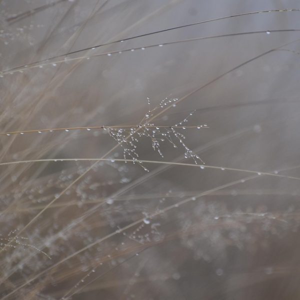 Derrubar Irã busca deter China e projetar Israel, dizem analistas