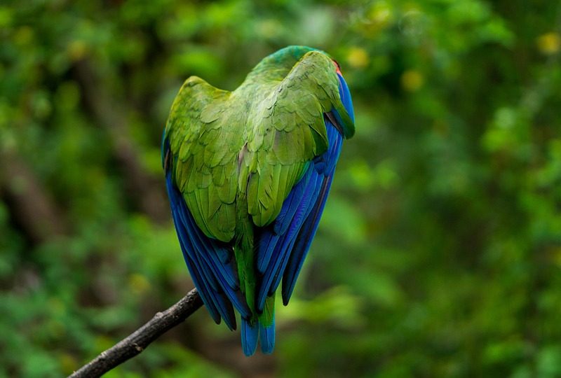 Brasil joga mal e perde de 2 a 1 para a França nos EUA