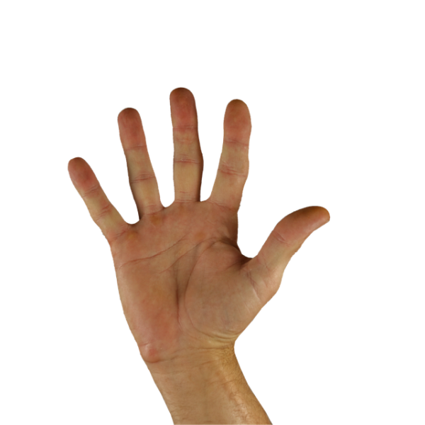 Aneel leiloa cinco lotes de linhas de transmissão de energia