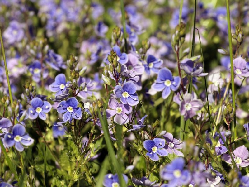 Prêmio Educador Nota 10 cria nova categoria para gestor escolar