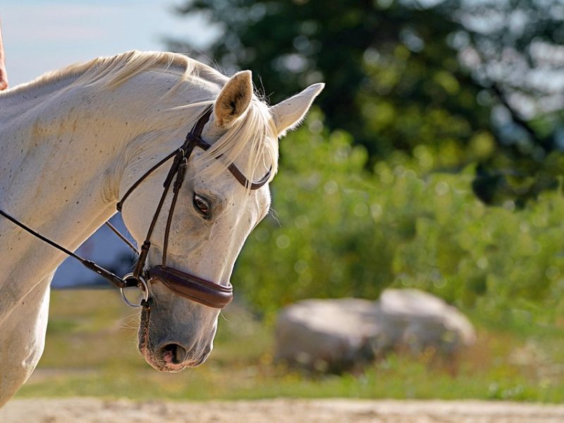 ECA digital e julgamento nos EUA contribuem para internet mais segura