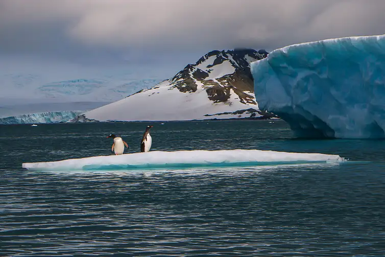 Aline Martinez/Divulgação 02/03/2026 - Derretimento das geleiras e calotas polares vai afetar sobretudo cidades costeiras, revela estudo. Foto: Aline Martinez/Divulgação