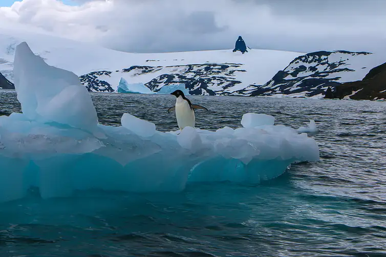 Aline Martinez/Divulgação 02/03/2026 - Derretimento das geleiras e calotas polares vai afetar sobretudo cidades costeiras, revela estudo. Foto: Aline Martinez/Divulgação