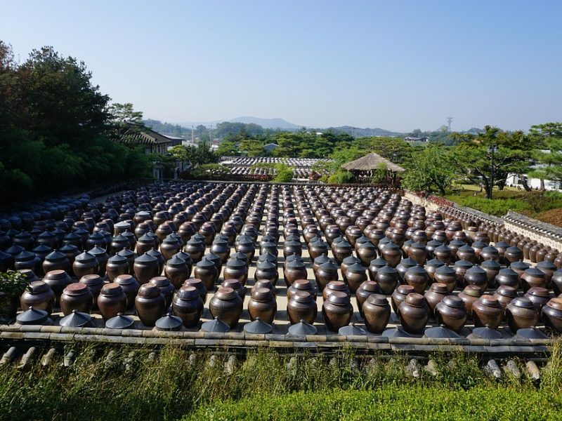 Organizações denunciam propostas legislativas com ameaças ambientais