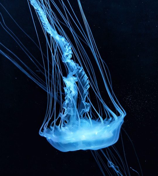 Embaixador do Irã diz que EUA usa diálogo político como "enganação"