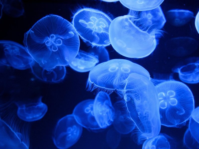 Marinha resgata navio africano à deriva no litoral nordestino