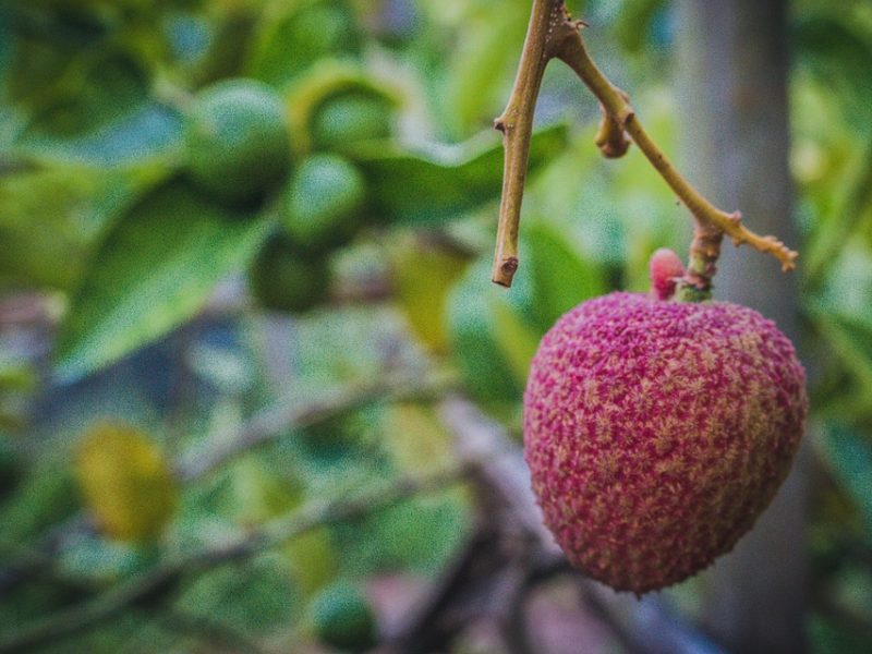 Resultado negativo nas contas externas cai para R$ 5,6 bi em fevereiro