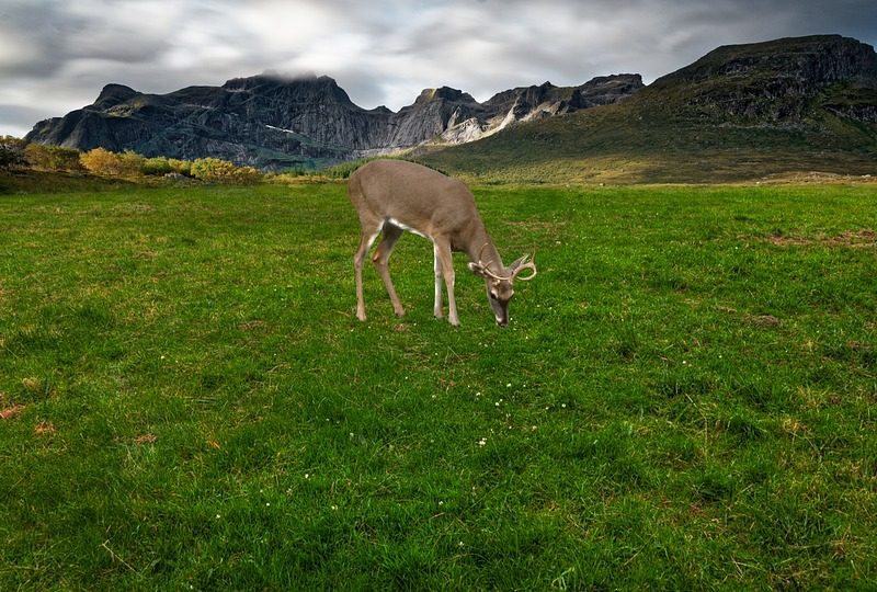 Moraes autoriza visita íntima a general condenado na trama golpista