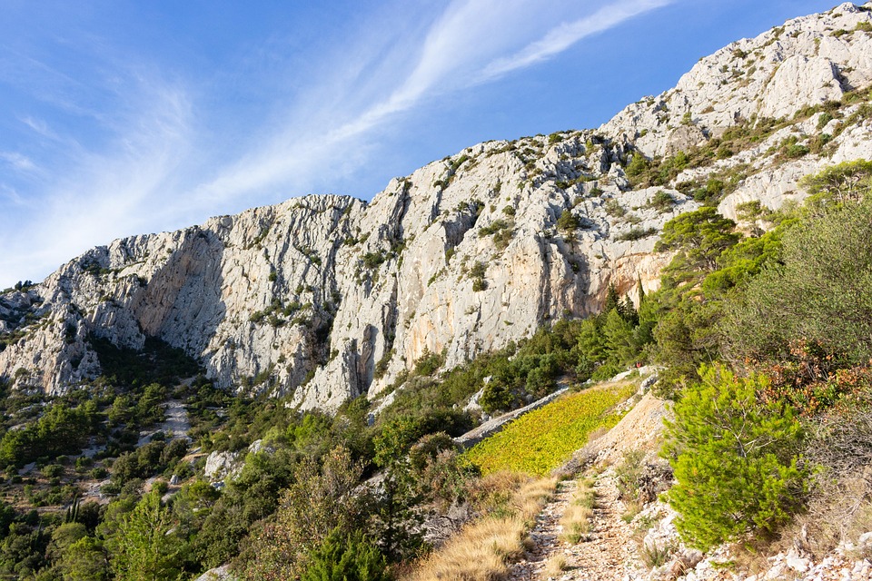 Nikolas Ferreira viajou em jato de Vorcaro na campanha de 2022