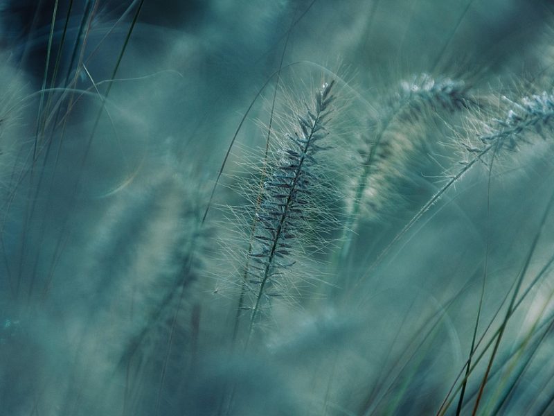 Crescimento de demanda por tecnologia climática gera oportunidades